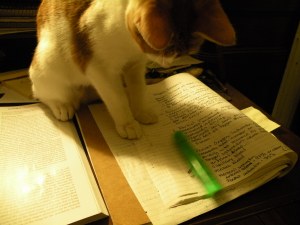 Winnie-reading my study notes